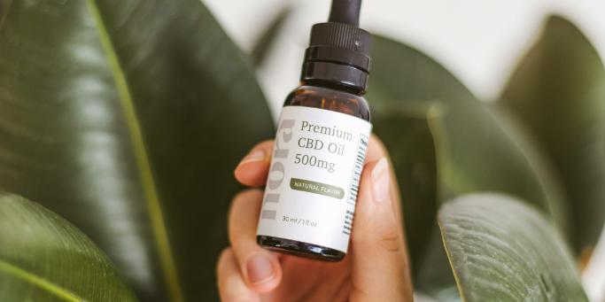 The 10 Best CBD Oils