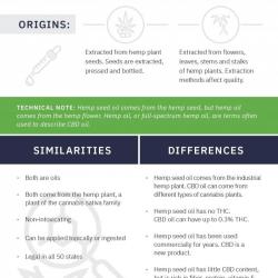 Hemp Seed Oil Vs. CBD Oil: What Consumers Need To Know