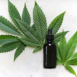 Top 5 Myths About Medical Cannabis