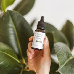 The 10 Best CBD Oils for 2022