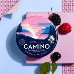 A Review of Kiva Camino Gummies