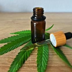 10 Surprising Ways CBD Is Being Used Beyond Pain Relief
