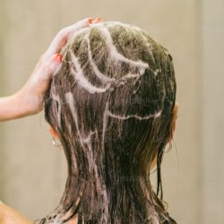 CBD Shampoo: The Ultimate Guide
